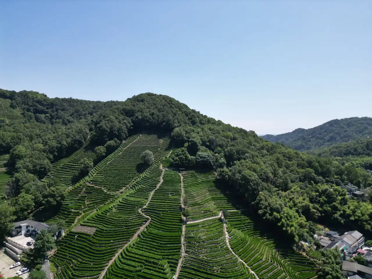 2024年广告服务行业趋势：品牌策划与标识标牌技术新方向