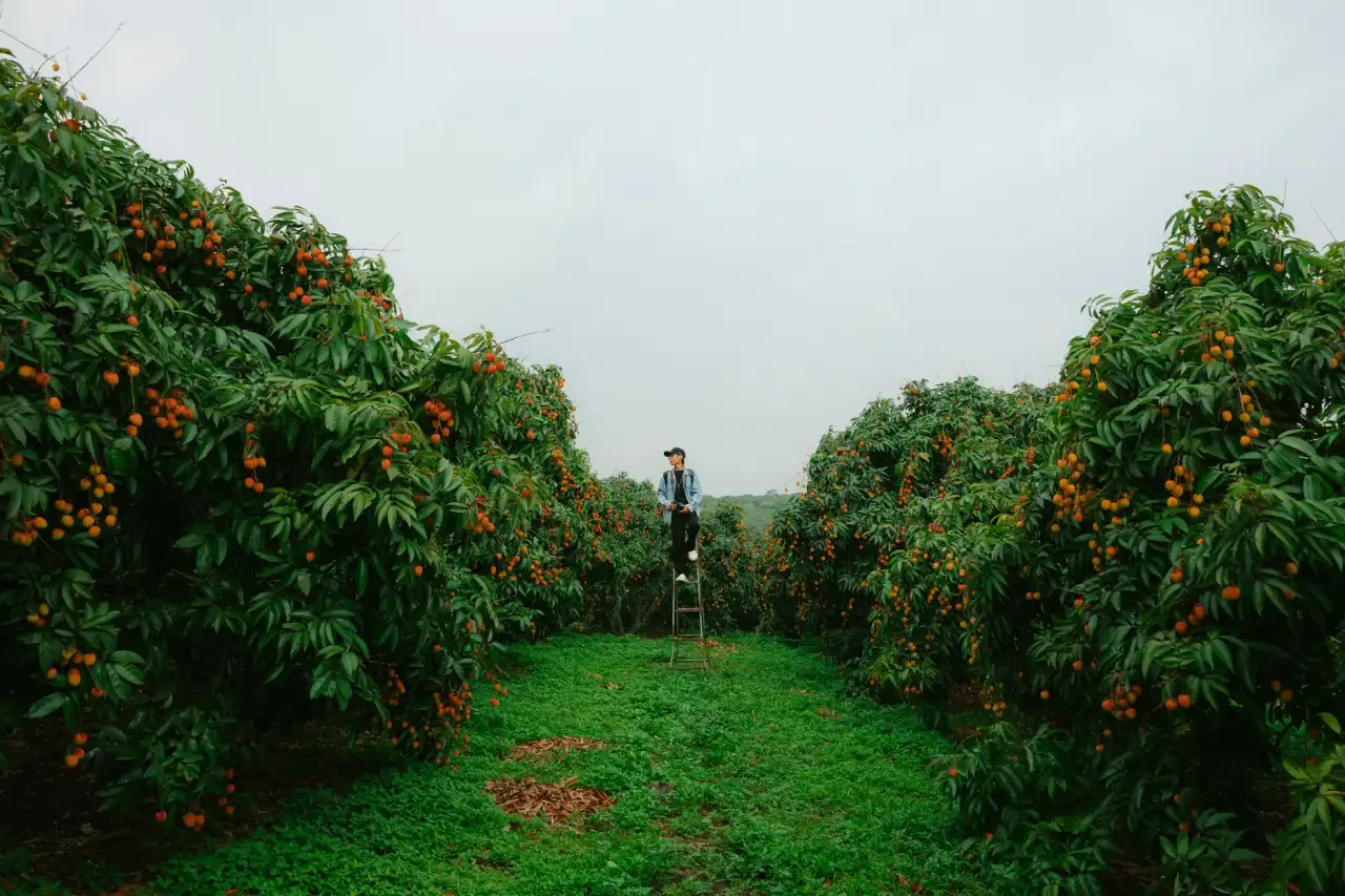 广告标识标牌工程实施中的材料选择与质量管控要点