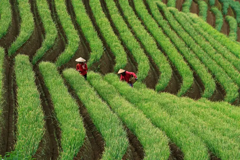 广告标识标牌工程中的材料选型对比与耐久性分析