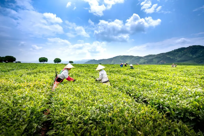 广告服务与品牌策划：企业形象升级的四大核心步骤