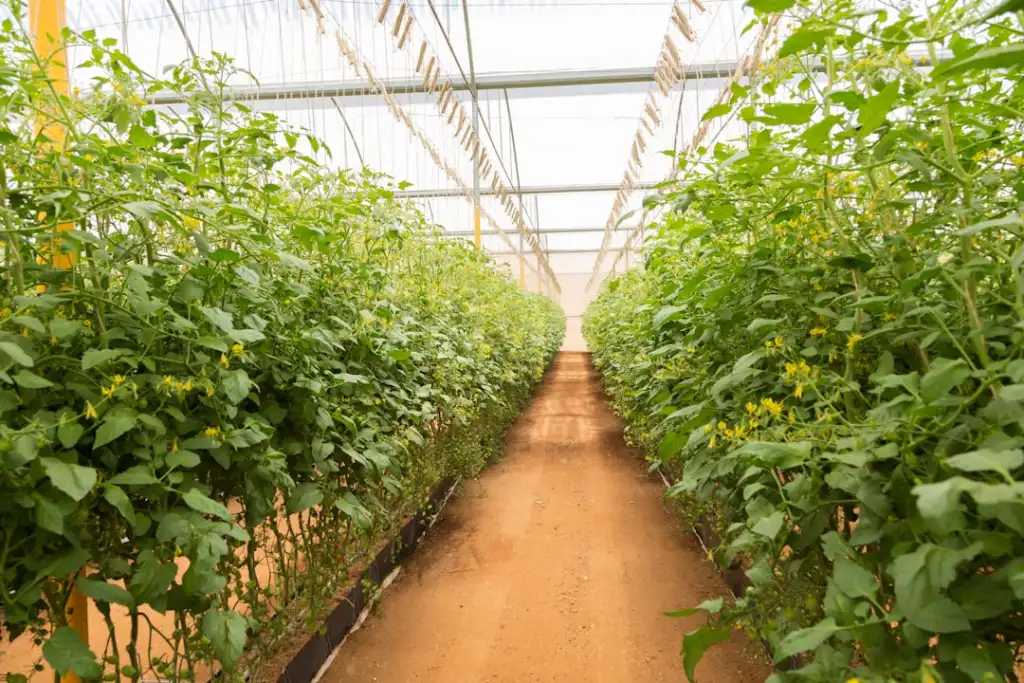 广告制作中UV打印与丝网印刷的工艺对比及应用场景选择